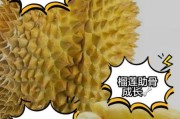 八个月宝宝能吃榴莲吗_宝宝吃榴莲注意事项