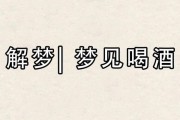 梦到喝酒是什么意思_周公解梦梦到喝酒预示什么