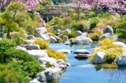 春景图片大全哪里找_如何挑选高清春景图