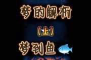 做梦梦到大鱼是什么意思_梦见大鱼好不好