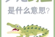 怀孕梦到鳄鱼是什么意思_孕妇梦见鳄鱼是生男生女