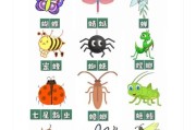 昆虫图片大全和名称_如何快速识别常见昆虫