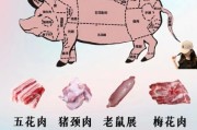 肉图片大全_肉类高清图怎么找