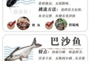 11个月宝宝吃什么鱼好_哪些鱼刺少又营养