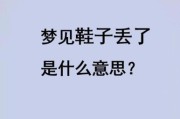 梦到鞋子是什么意思_梦见鞋子丢了代表什么