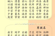 免费宝宝起名网生辰八字起名_如何根据八字免费取名