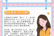 怀孕两个月胎儿有多大_怀孕两个月宝宝发育到什么程度