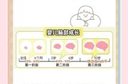 宝宝大脑发育关键期_如何科学促进智力提升
