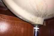梦到洗菜是什么意思_梦到洗菜好不好