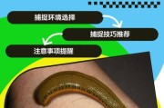 梦到蚂蝗是什么意思_梦见蚂蝗吸血怎么办