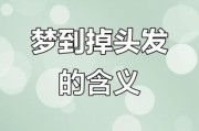 梦到掉头发是什么意思_梦见脱发严重怎么办