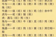 梦到很多花是什么意思_周公解梦大全查询