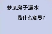 梦到水淹是什么意思_梦见水淹房子怎么办