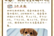 狗宝宝什么时候断奶_小狗断奶最佳时间