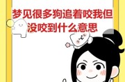 梦到一堆狗是什么意思_梦见很多狗追我怎么办