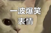 搞笑表情图片大全_哪里找最火表情包