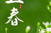 立春图片大全_如何挑选高清节气壁纸
