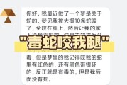 梦到被蛇咬出血_梦见蛇咬出血是什么意思