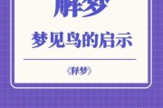 梦到鸟是什么意思_梦见鸟死了代表什么
