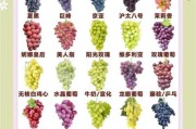 宝宝多大可以吃葡萄_葡萄怎么给宝宝吃才安全