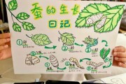 蚕长什么样_蚕的生长过程图片