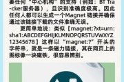 迅雷磁力链怎么用_迅雷磁力链下载安全吗