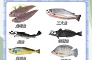 6个月宝宝吃什么鱼好_宝宝辅食鱼推荐