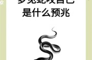 梦到蛇咬自己是什么意思_如何化解