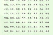 男宝宝小名怎么取_男宝宝小名大全
