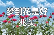 梦到花开是什么意思_梦见花开预示着什么