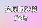 梦到粪便是什么意思_梦见大便代表什么