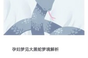 孕妇梦到很多蛇_是胎梦吗
