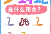 梦到菜花蛇是什么意思_梦到菜花蛇是吉是凶