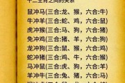 兔妈妈鼠宝宝相冲吗_生肖相冲如何化解
