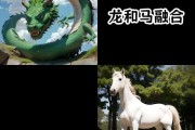 龙马图片大全_如何分辨真假龙马形象