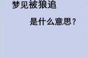 梦到狼群是什么意思_如何化解梦中狼群攻击