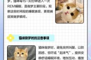 梦到很多猫是什么意思_梦见猫群暗示什么