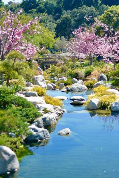 春景图片大全哪里找_如何挑选高清春景图