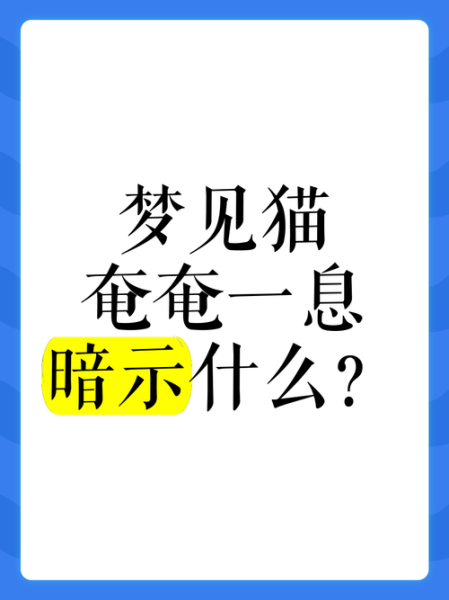 梦到猫死了是什么意思_猫死了预示什么