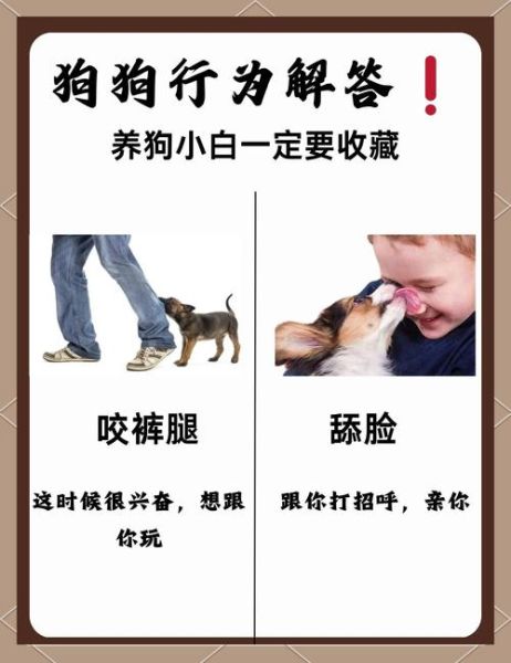 梦到被狗咬屁股是什么意思_被狗咬屁股梦境解析