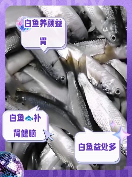 梦到白鱼是什么意思_白鱼梦境解析