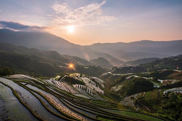 梯田图片大全哪里找_如何拍出震撼效果