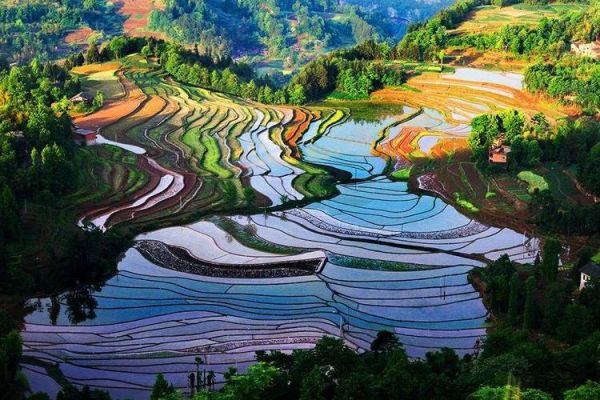 梯田图片大全哪里找_如何拍出震撼效果