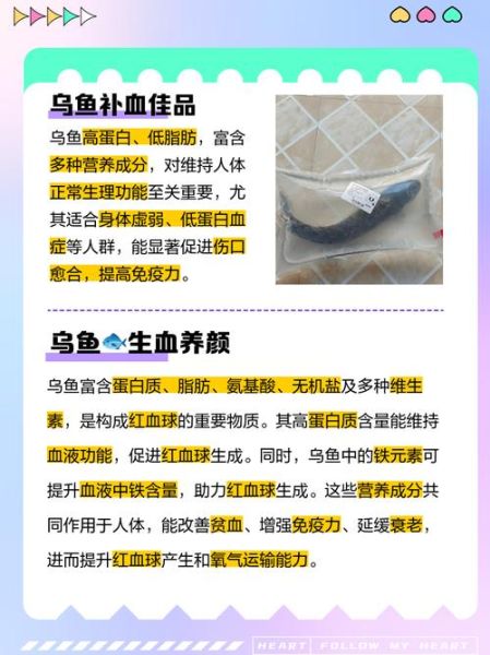 乌鱼宝宝可以吃吗_乌鱼宝宝食用禁忌