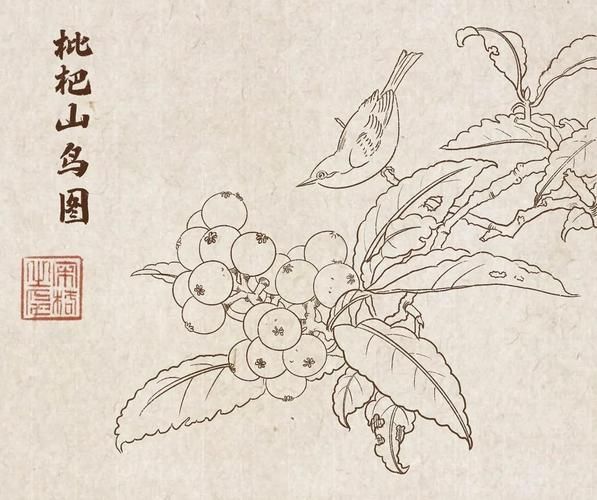 鸟画图片大全_如何临摹鸟类国画