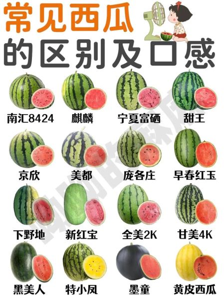 瓜果图片大全有哪些_瓜果种类名称大全