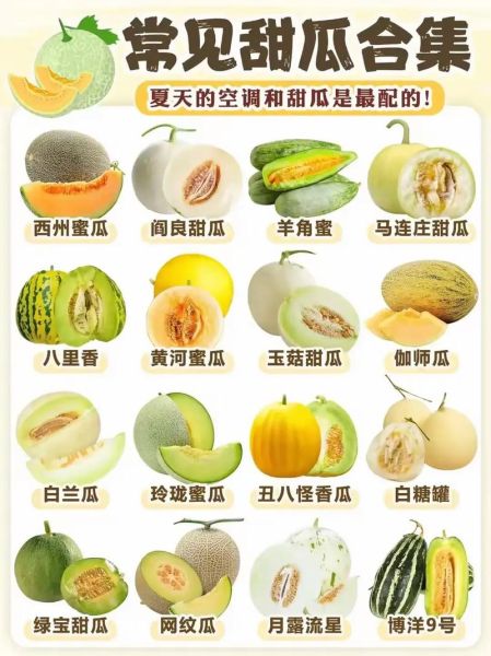 瓜果图片大全有哪些_瓜果种类名称大全