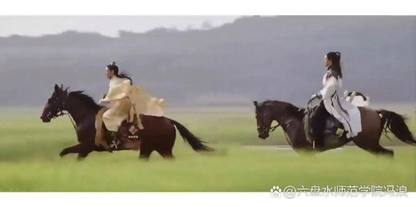 霜花店迅雷下载_哪里能看高清完整版