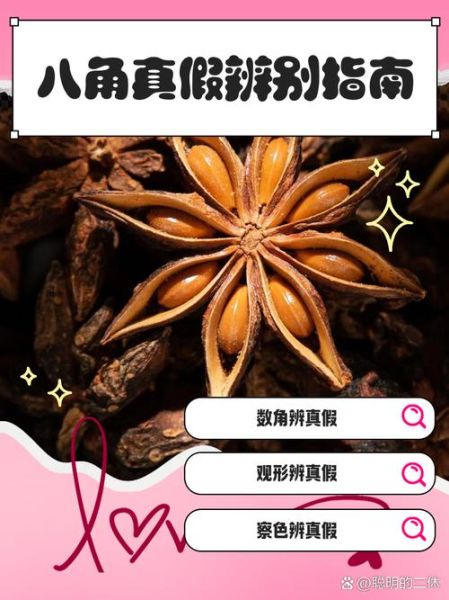 八角图片大全_如何辨别真假八角