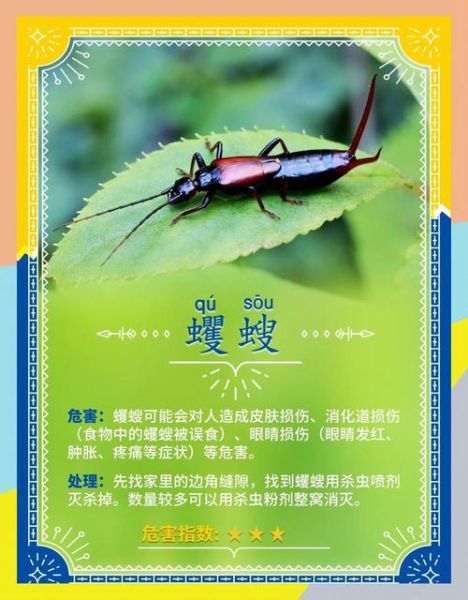 家里常见虫子图片大全_如何识别与防治